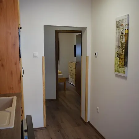 Apartmenthaus Esther Ramingstein Extérieur photo